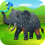 Animals Cleaning & Caring