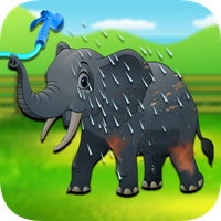 Animals Cleaning & Caring