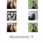 Animals Memory