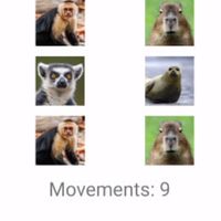 Animals Memory