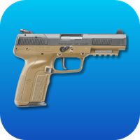 Weapon Quiz: Guns & Ammunition