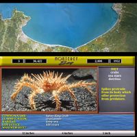 Monterey Bay Sea Life