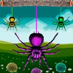 Spiders