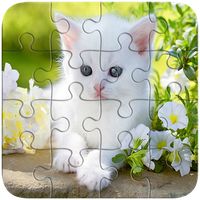 Puzzle Cats Game