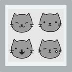 Funny cat test , cat breeds - 