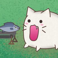 Giant Cat - Feed The Cat