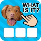 101 Pics.io: Photo Quiz