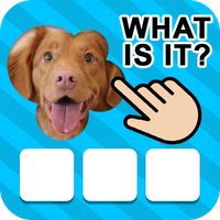 101 Pics.io: Photo Quiz