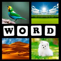 4 pics 1 word 2021 puzzle Game