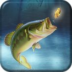 Fish Coin Hunter