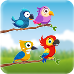 Bird Sort Colour Puzzle