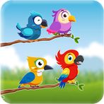 Bird Sort Colour Puzzle