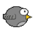 Crappy Bird