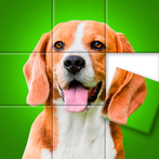 Jigsaw Tiles - Puzzle Games