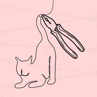 Wire Craft 3D