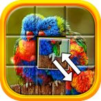 Adventure Swap Puzzle