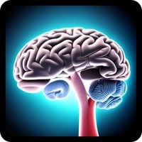 Brain analysis: Depth trivia