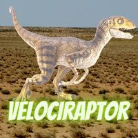 Velociraptor