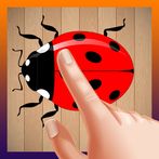Insect Crush | Bug Smasher 202
