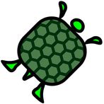 Sliding Turtle
