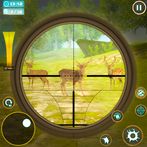 Hunting in the Forest: 3D