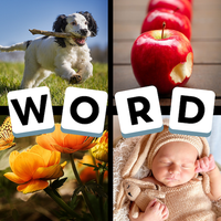 4 Pics 1 Word - Puzzle Game