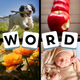 4 Pics 1 Word - Puzzle Game