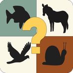 Animal Quiz: Weird Facts