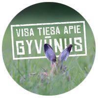 Visa tiesa apie gyvūnus