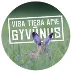Visa tiesa apie gyvūnus