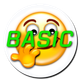 Can I Drive? Basic