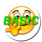 Can I Drive? Basic