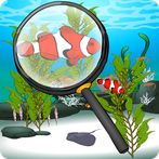 Hidden Fish