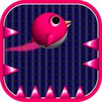 Pink Birdie