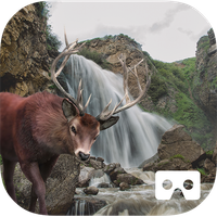 Waterfall Hunting VR Cardboard