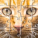 Jigsaw Puzzles: Animals