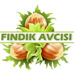 Fındık Avcısı