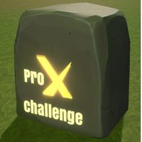 ChallengeX Pro