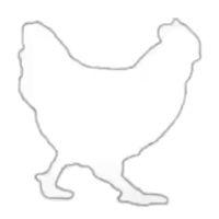 Tangkap ayam dan Sapi