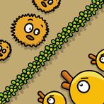 Beach Ducks Massacre