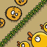 Beach Ducks Massacre