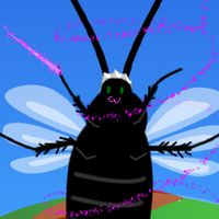 Gold, roaches and Kaun