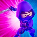 Silent Ninja Assassin