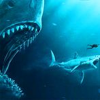 Hungry Apex: Ocean Predator