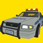 Police chase