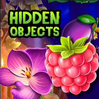 Hidden objects Occult