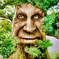 WISE OAK ATTACKS