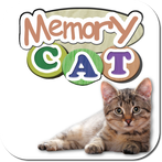 🐱 Discover cats and kittens