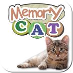 🐱 Discover cats and kittens