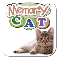 🐱 Discover cats and kittens